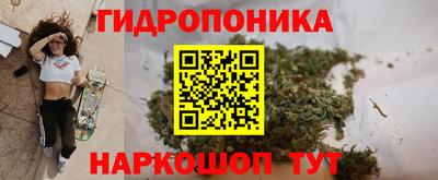тгк Будённовск